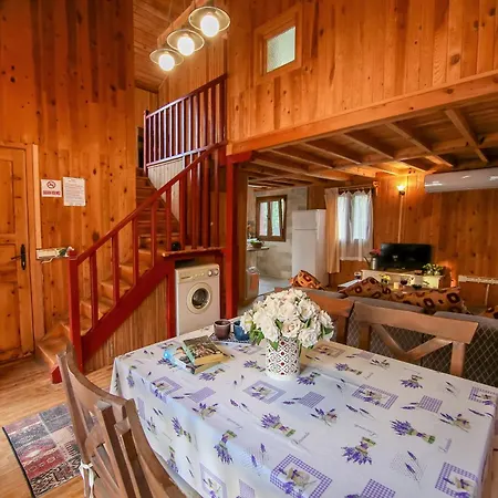 Villa Ilk Ayvilla