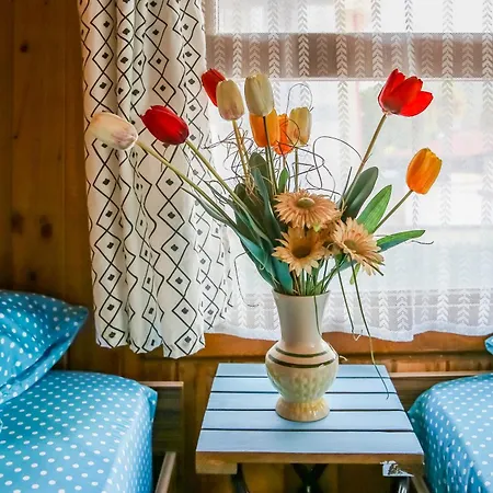 Villa Ilk Ayvilla *